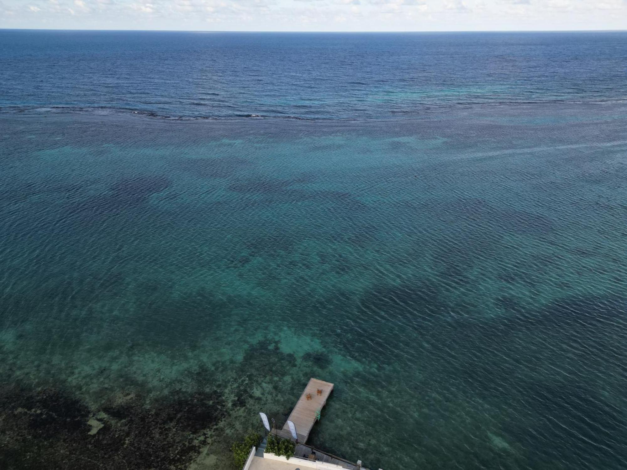 Ocean Palms Hotell Ocho Rios Eksteriør bilde